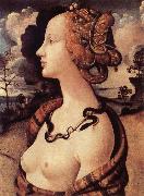 Piero di Cosimo Portrat of Simonetta Vespucci china oil painting reproduction